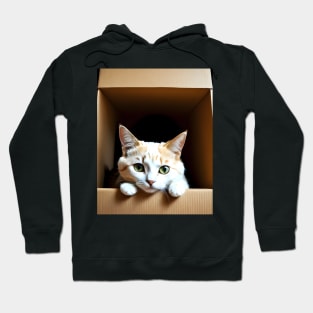 Cat inside a box - Modern digital art Hoodie